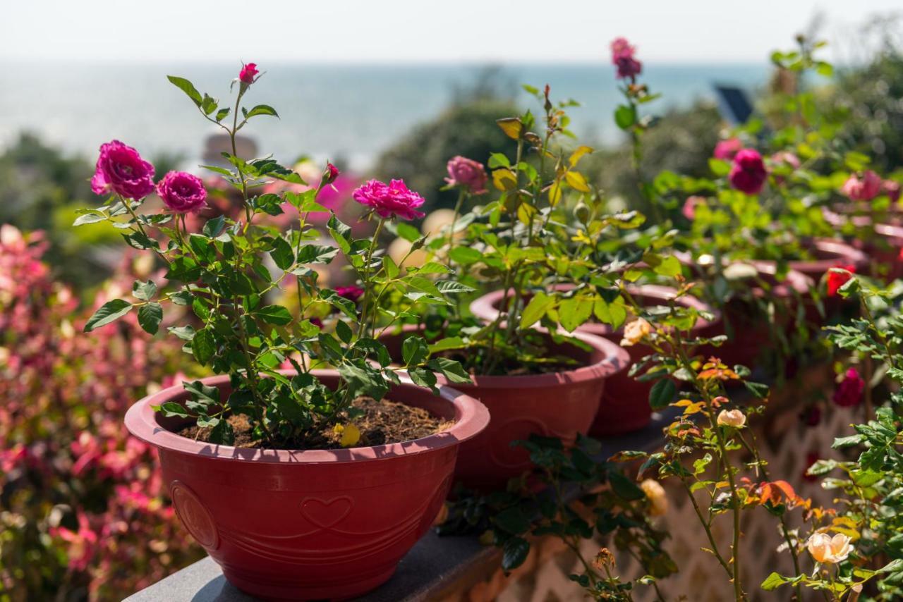 Veranda Beach Place Hotell Phan Thiet Exteriör bild